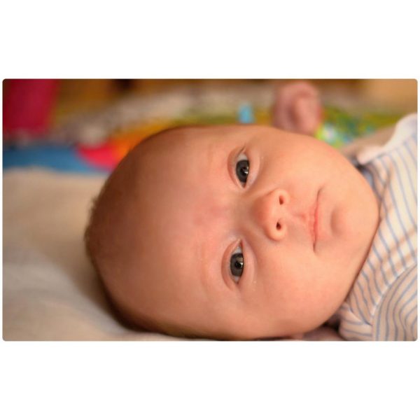 Any photo printed onto a hard plastic card (credit card sized)