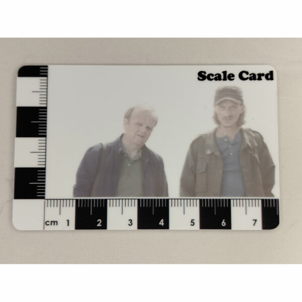 Finds Scale Card